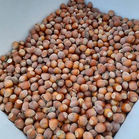 Chateau Sukaj Villa *