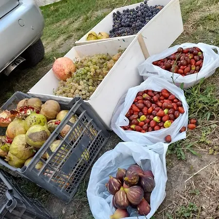 Chateau Sukaj Villa *