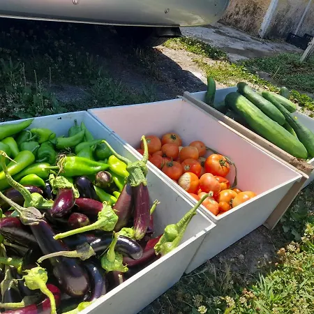 Villa Chateau Sukaj Ljaknasi