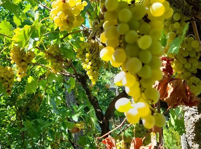 Chateau Sukaj
