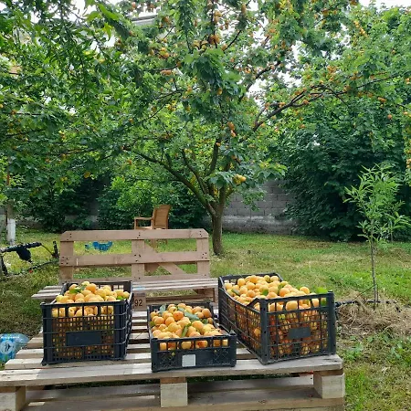 فيلة Chateau Sukaj *