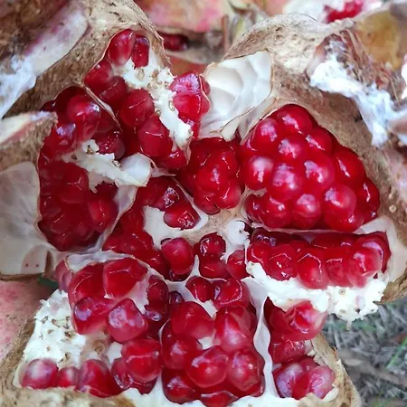 וילה Chateau Sukaj