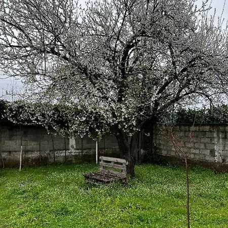 Vila Chateau Sukaj *