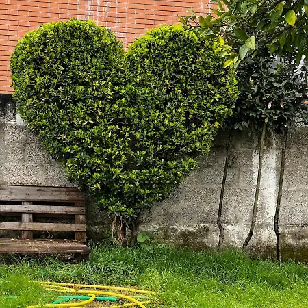 Chateau Sukaj فيلة