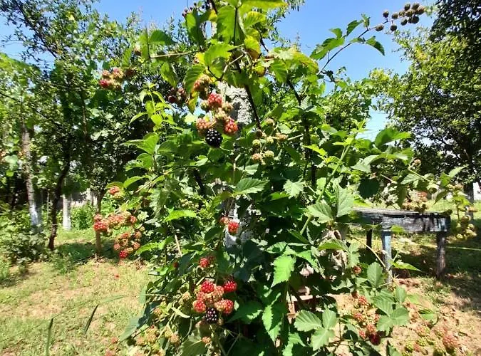Chateau Sukaj 빌라 Ljaknasi