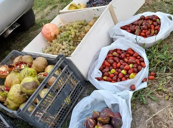 Chateau Sukaj Villa *